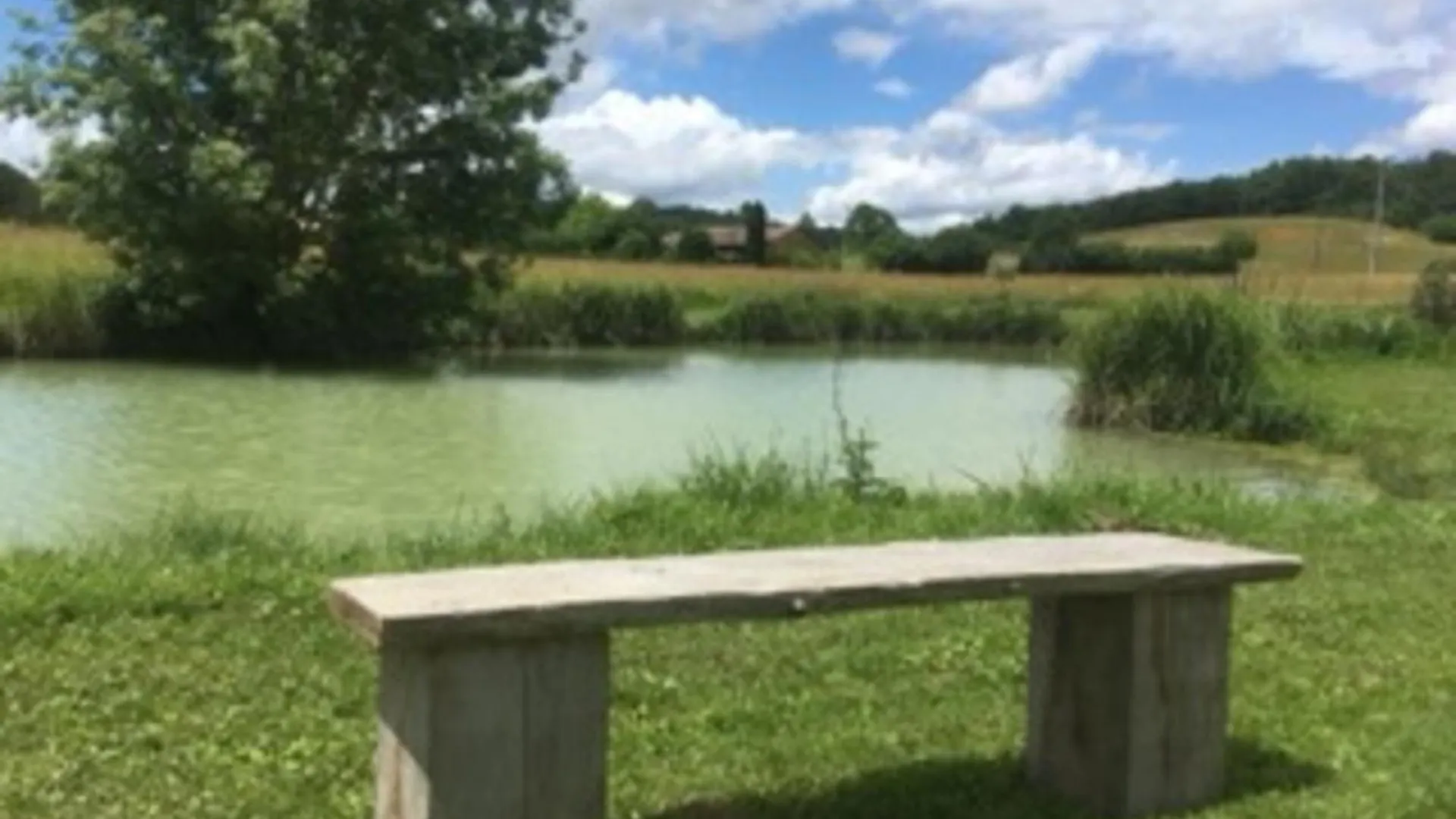 Holiday home Gite Du Moulin De La Peyriere Cazes-Mondenard