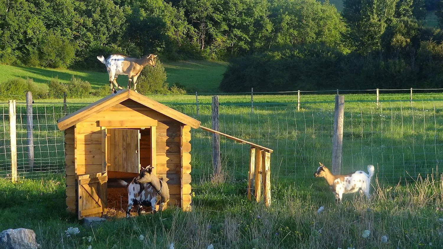 Gite Du Moulin De La Peyriere Cazes-Mondenard Holiday home