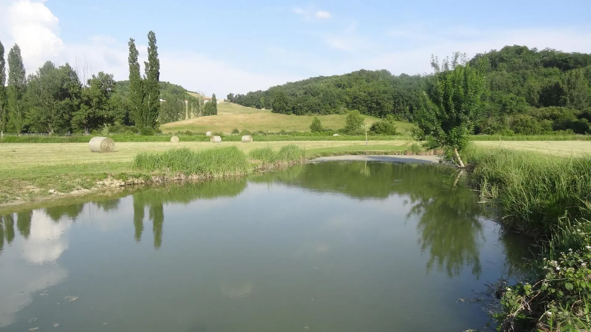 Gite Du Moulin De La Peyriere Cazes-Mondenard France